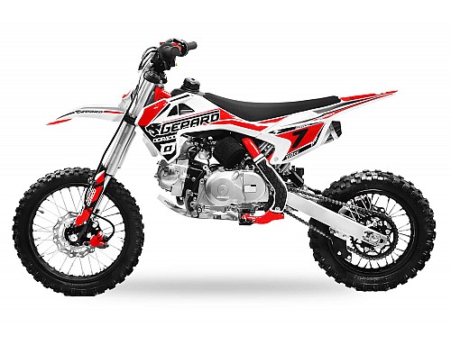 110cc dirt bike semi auto
